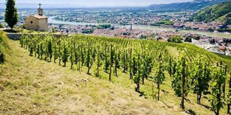 THE WINE AND FOOD OF THE SAVOIE AND NORTHERN RHONE