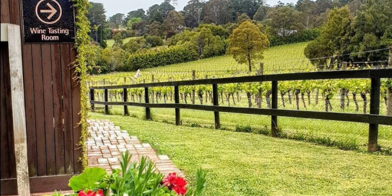 Prancing Horse Cellar Door