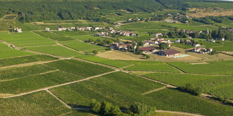 OVERVIEW OF BURGUNDY AND BEAUJOLAIS (part 2)