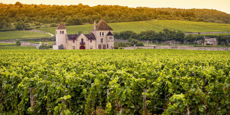 REGIONAL OVERVIEW OF BURGUNDY – COTE DE NUIT AND COTE DE BEAUNE (part one)